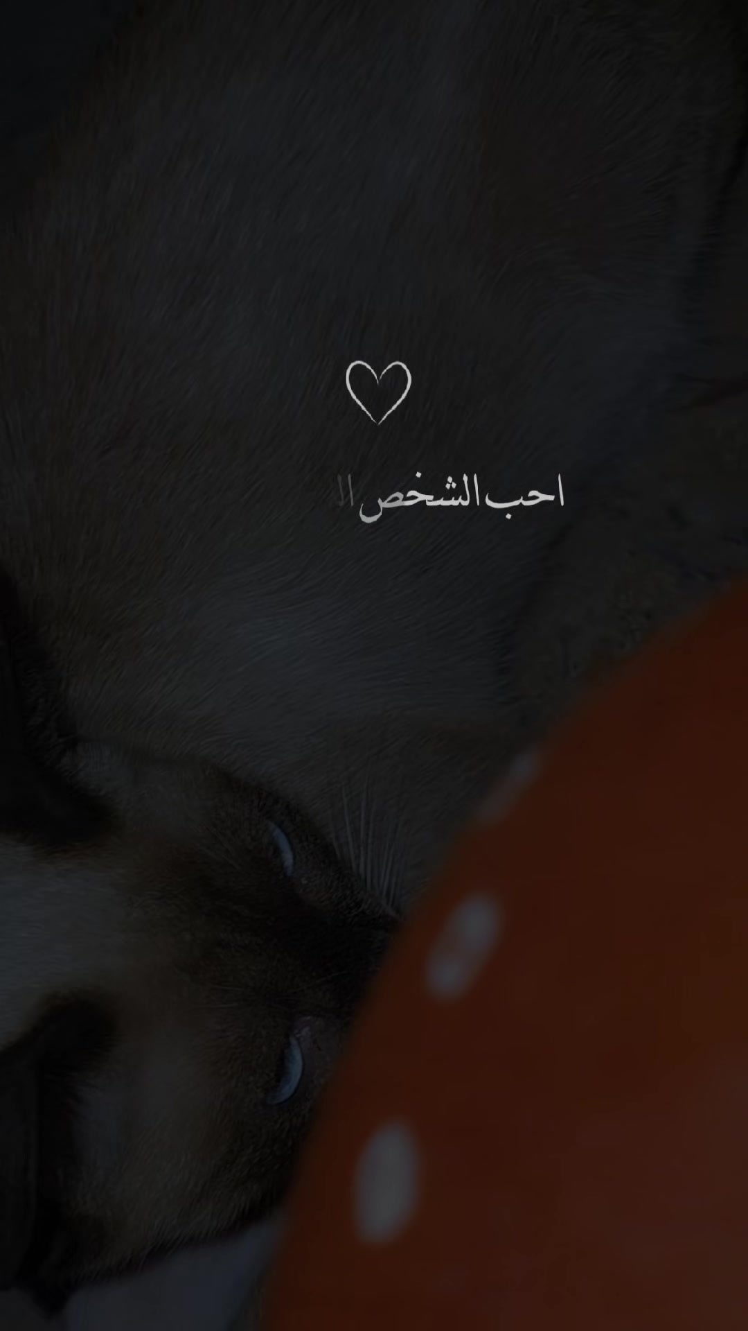 @الجوهرة السوداء