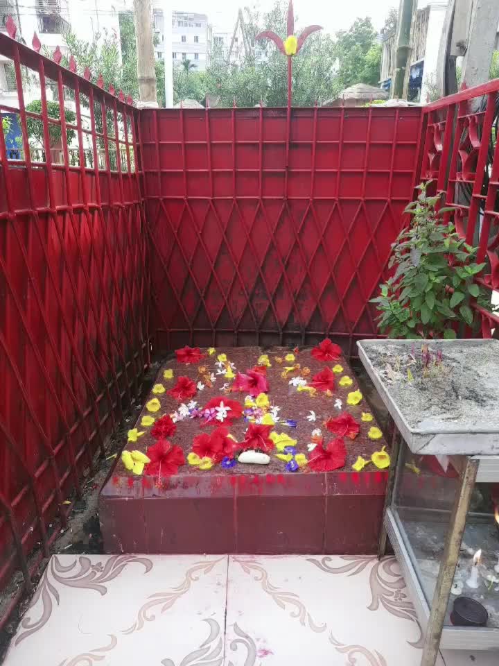@sadon sen