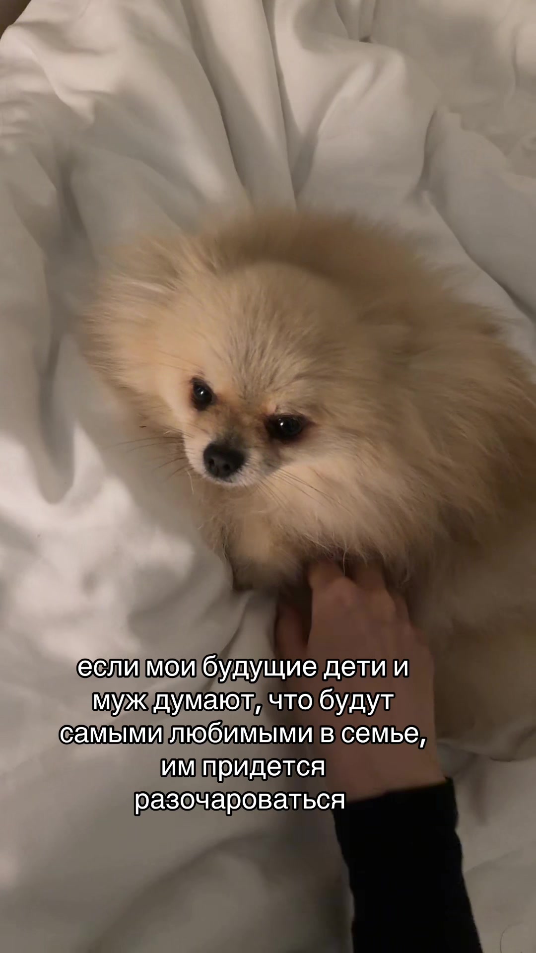 @к Вашим услугам