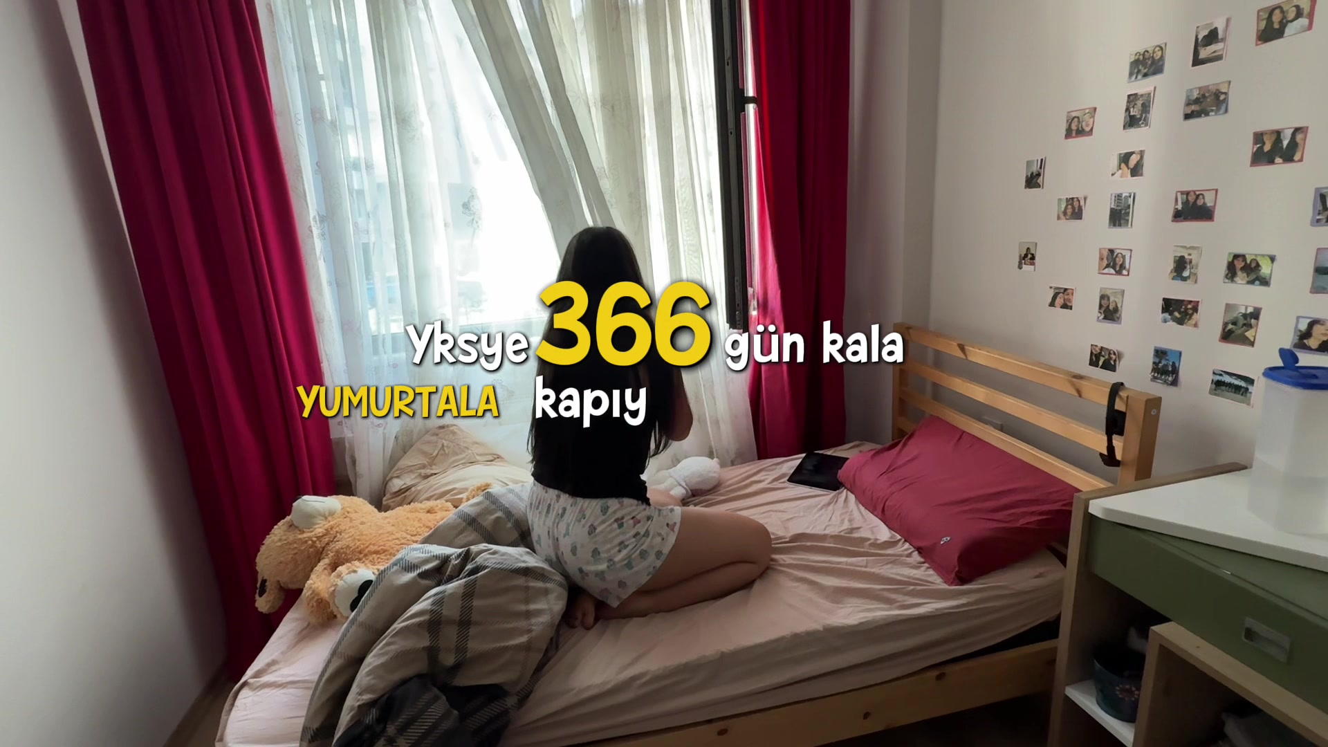 @Studybugii