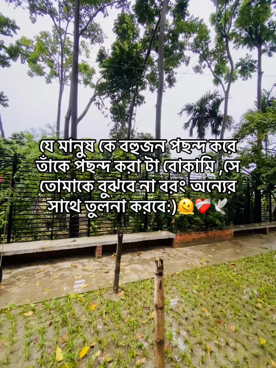 @ChaccHu 🤠🤍