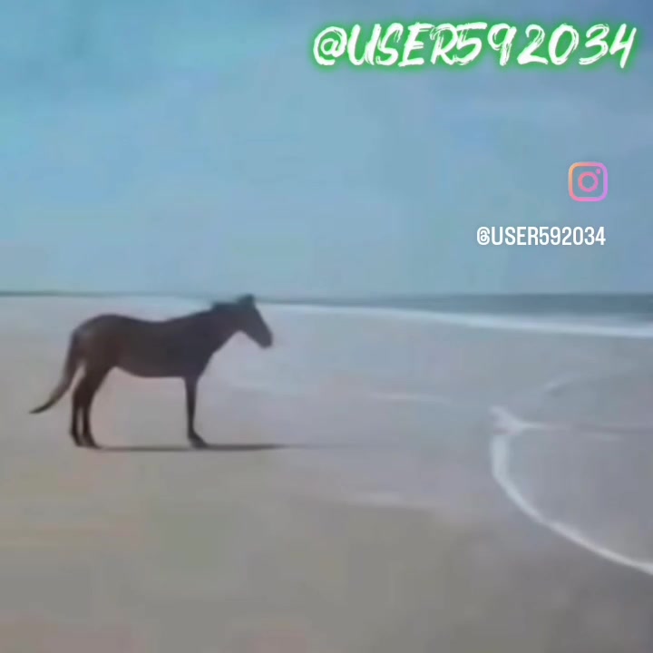 @User592034