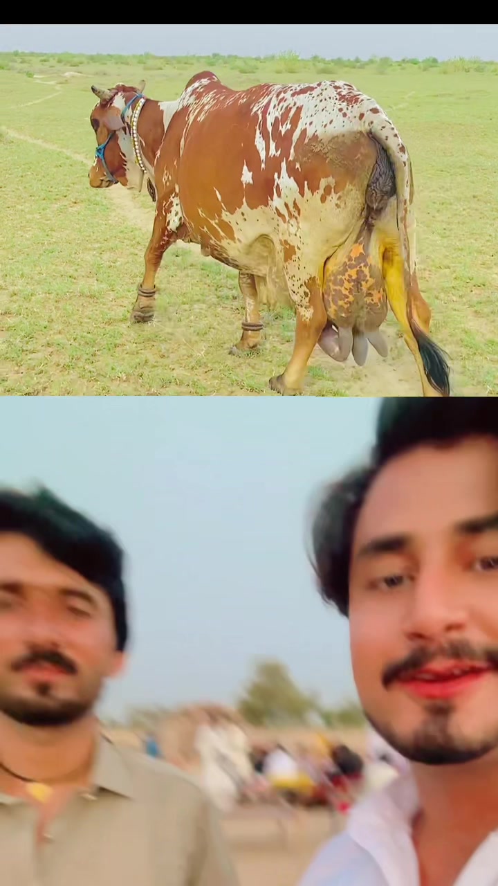 @وقاص روہی والا
