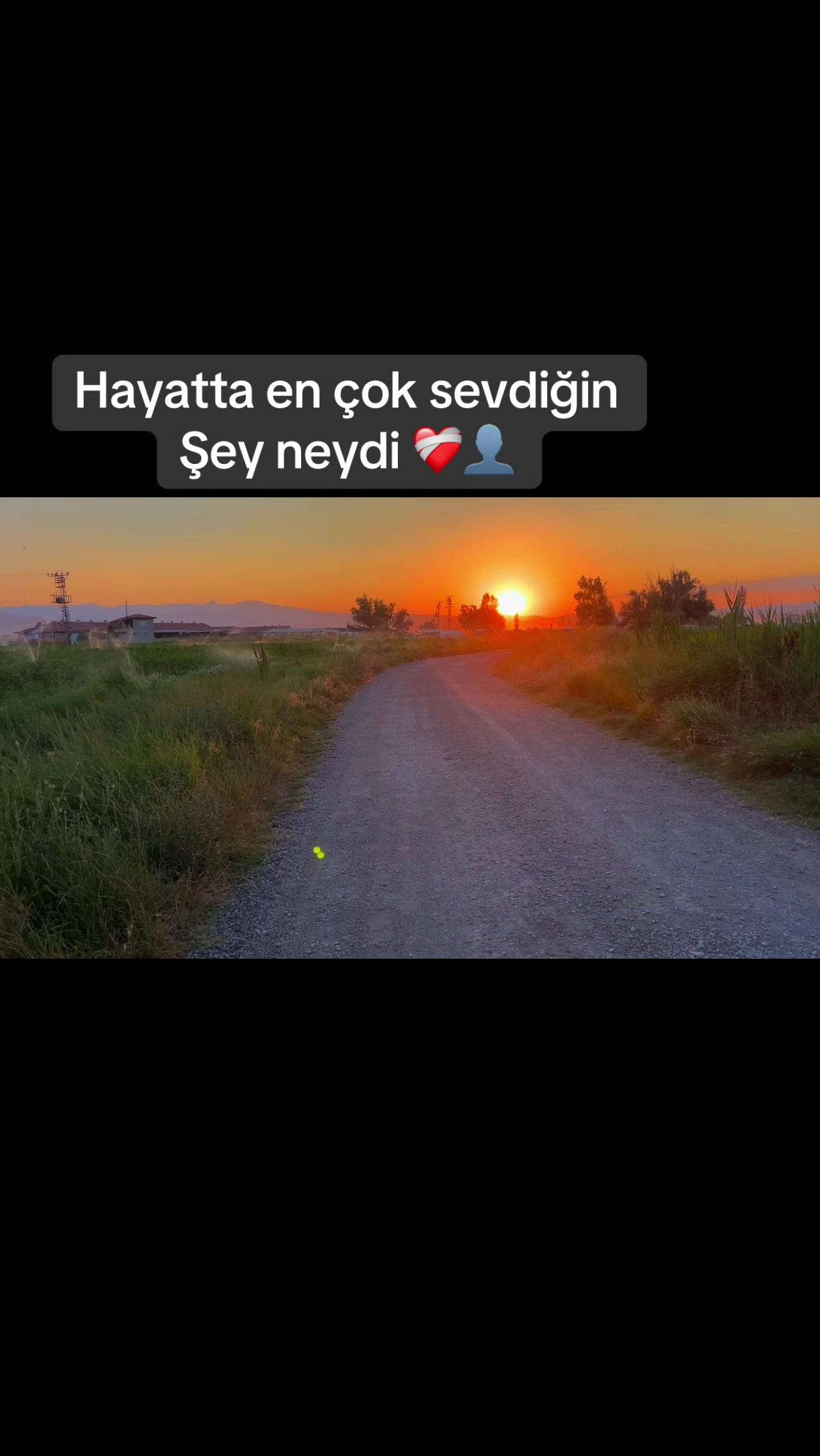 @༺🕊️𝙑𝙖𝙩𝙖𝙣 𝙎𝙚𝙫𝙙𝙖𝙨ı
