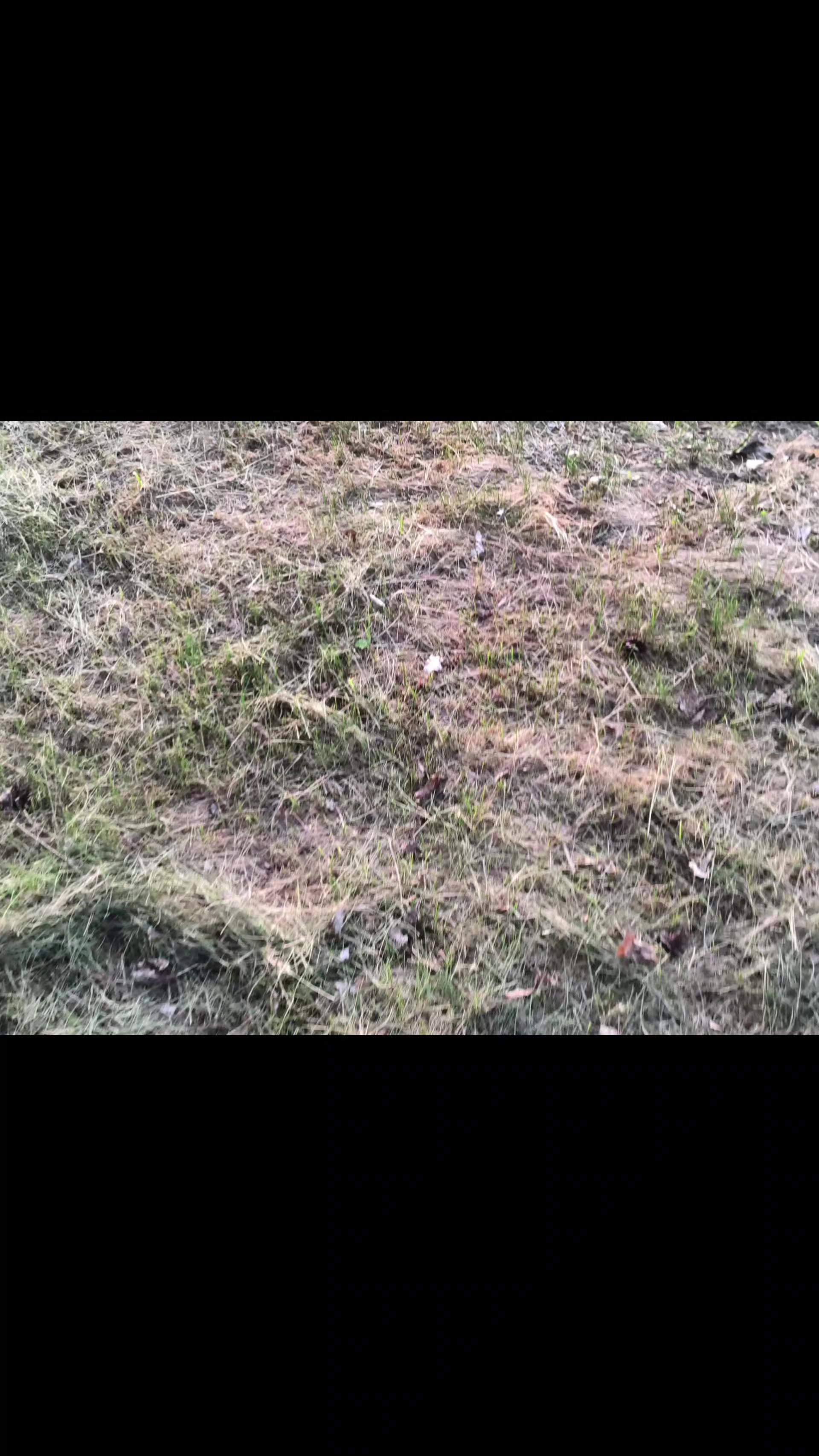 @сквизи