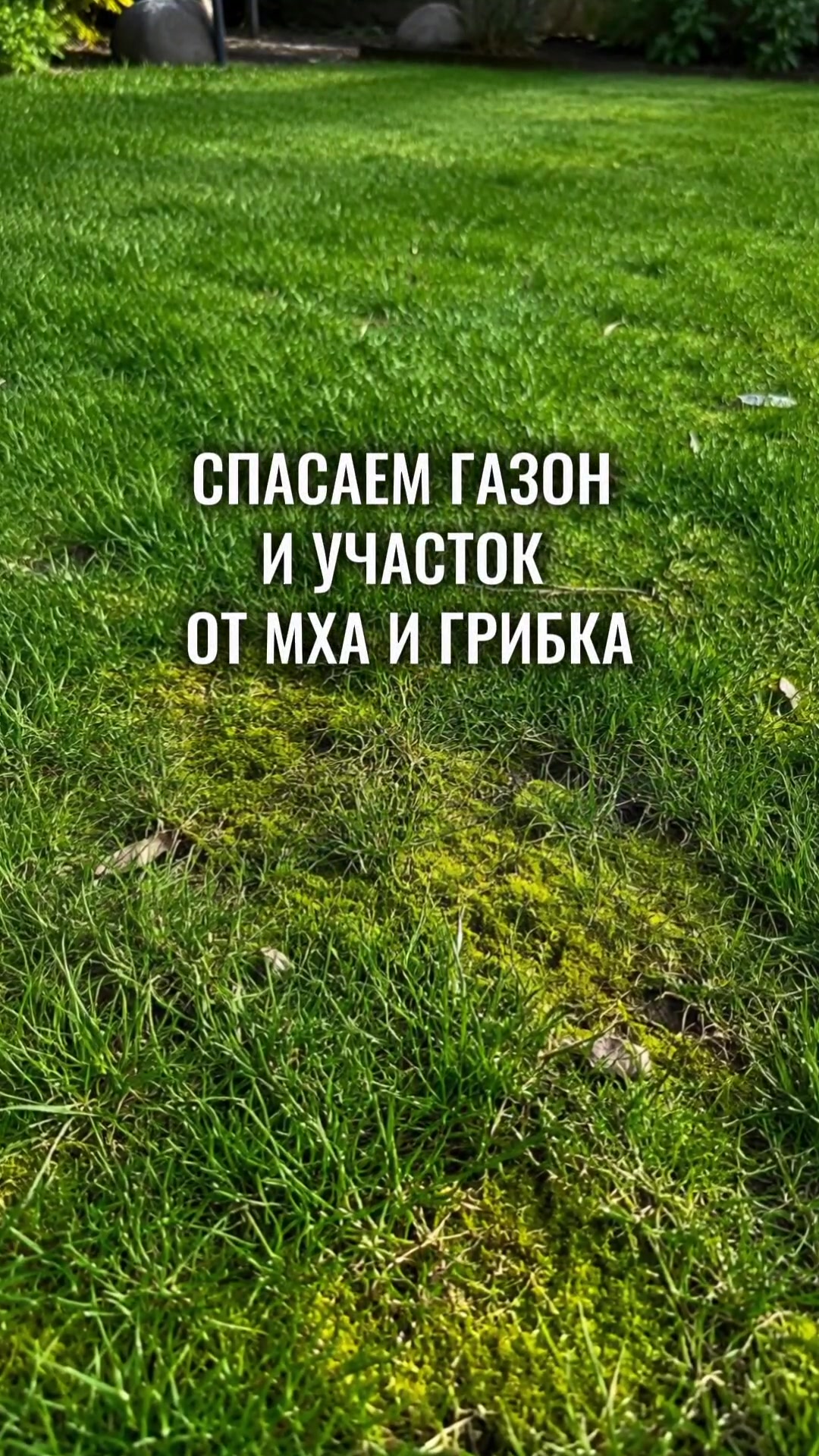 @nasenneby