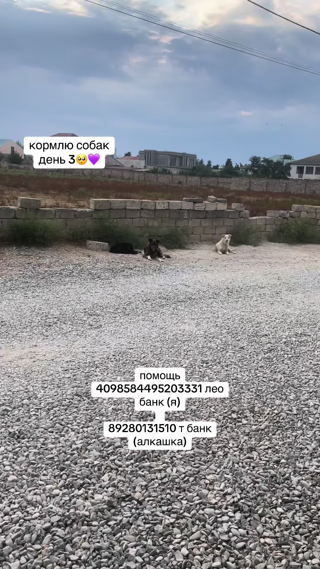 @шира💜 [687] [354] [457] [563]