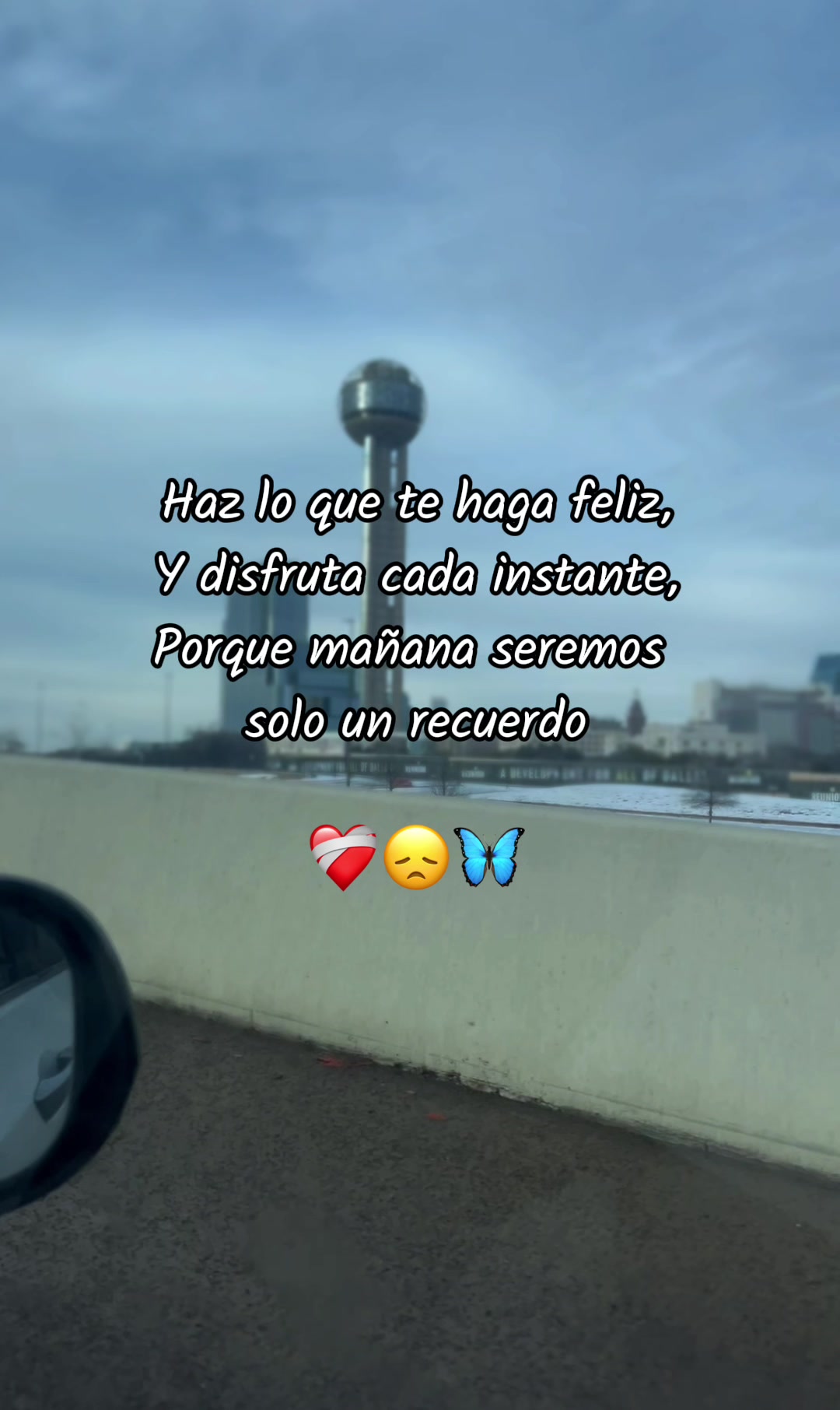 @Beatr&iacute;z🫅🏻🤩🌻