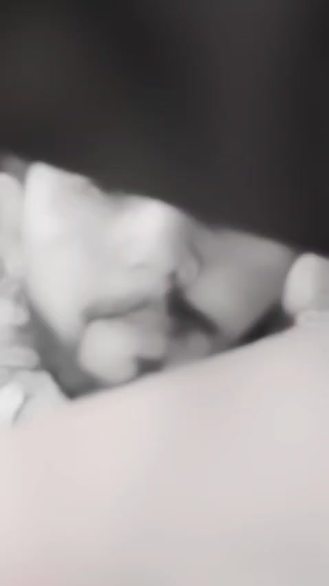 @طحہٰ بادشاہ👑