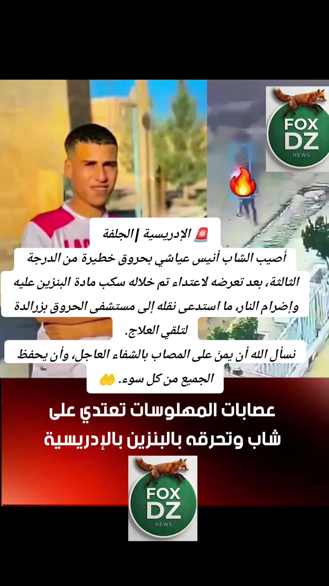 @🇩🇿FOX🦊 DZ🇩🇿