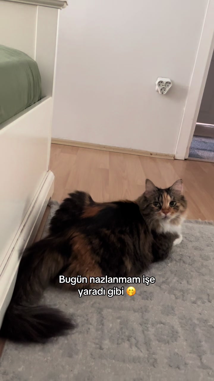 @konusankediminnos