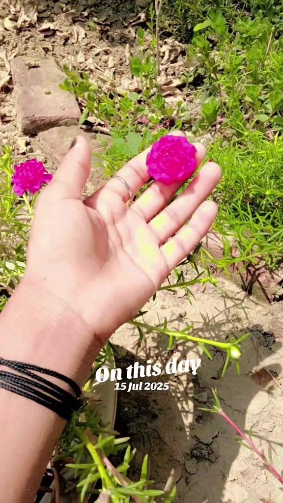 @muj627