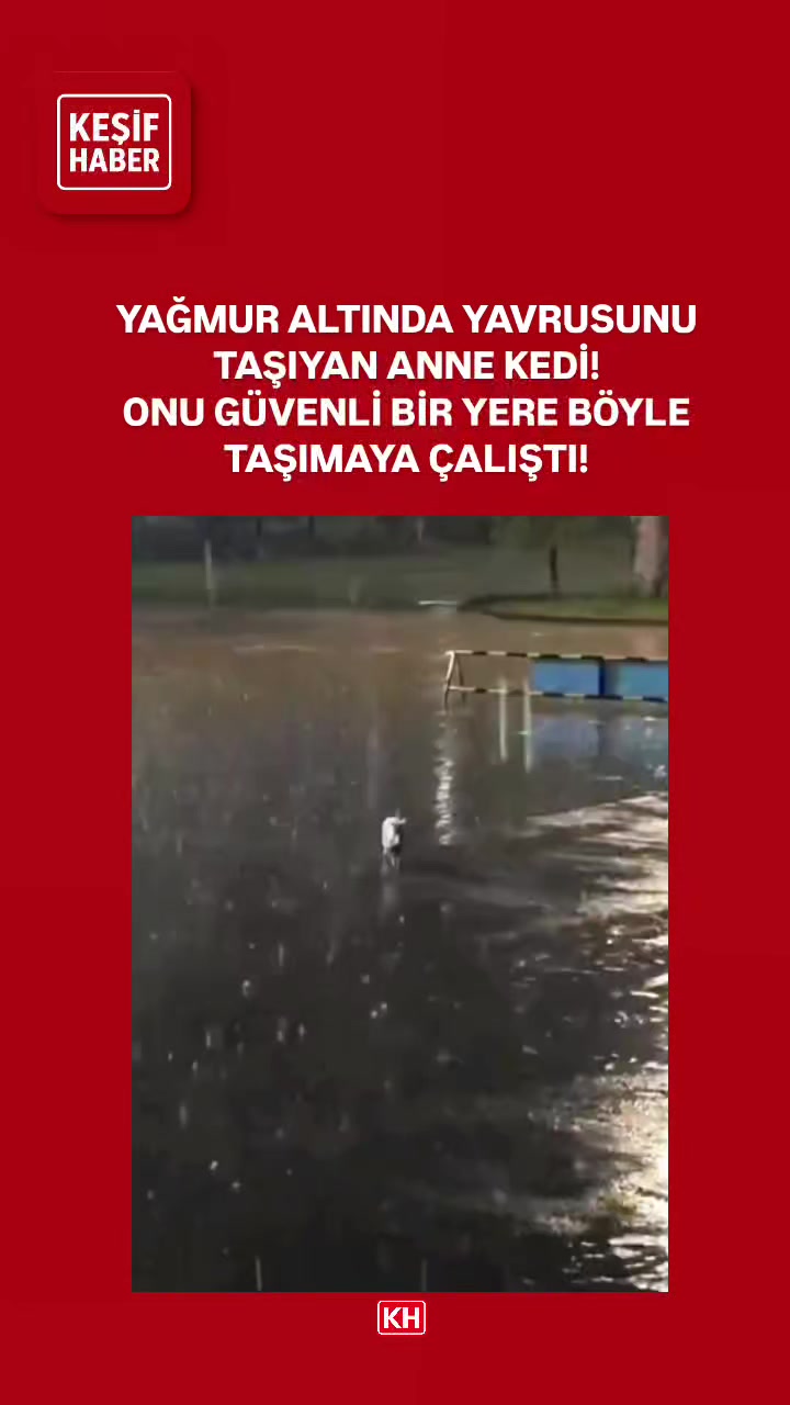 @Kesifhaber