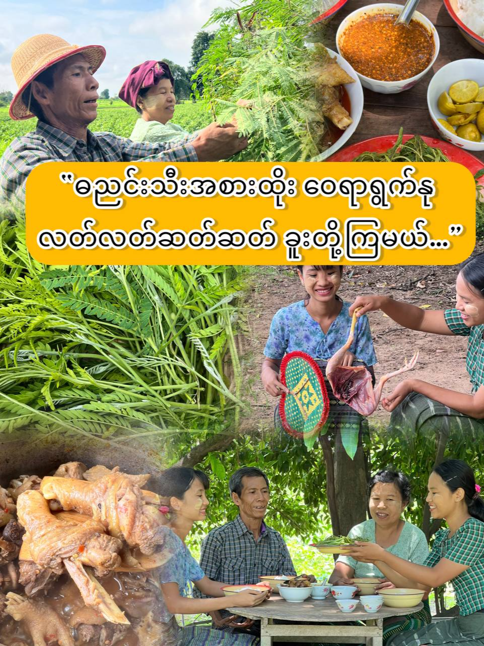 @Yar Taw Thu - ယာတောသူ