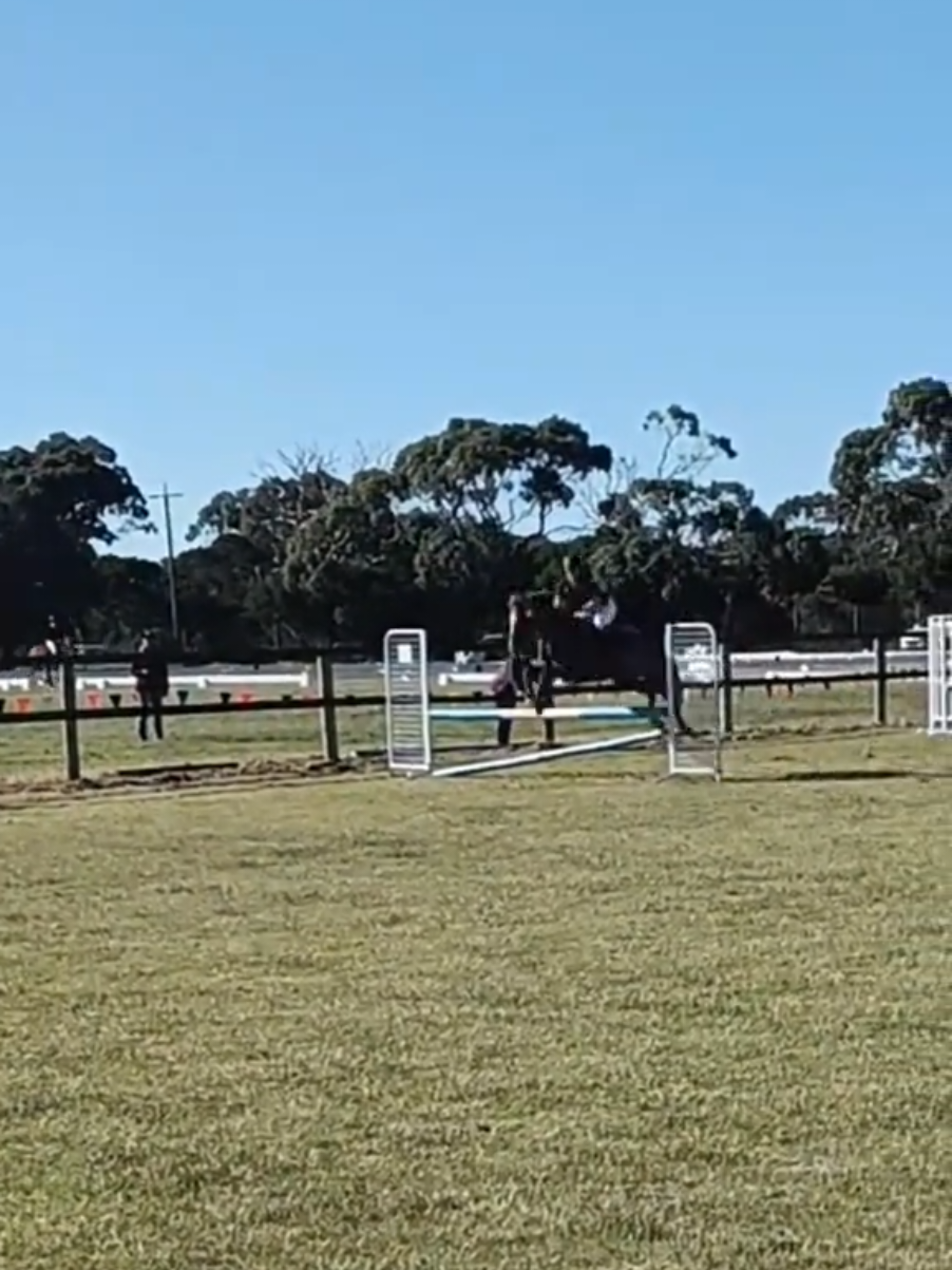 @Pip_equestruan9