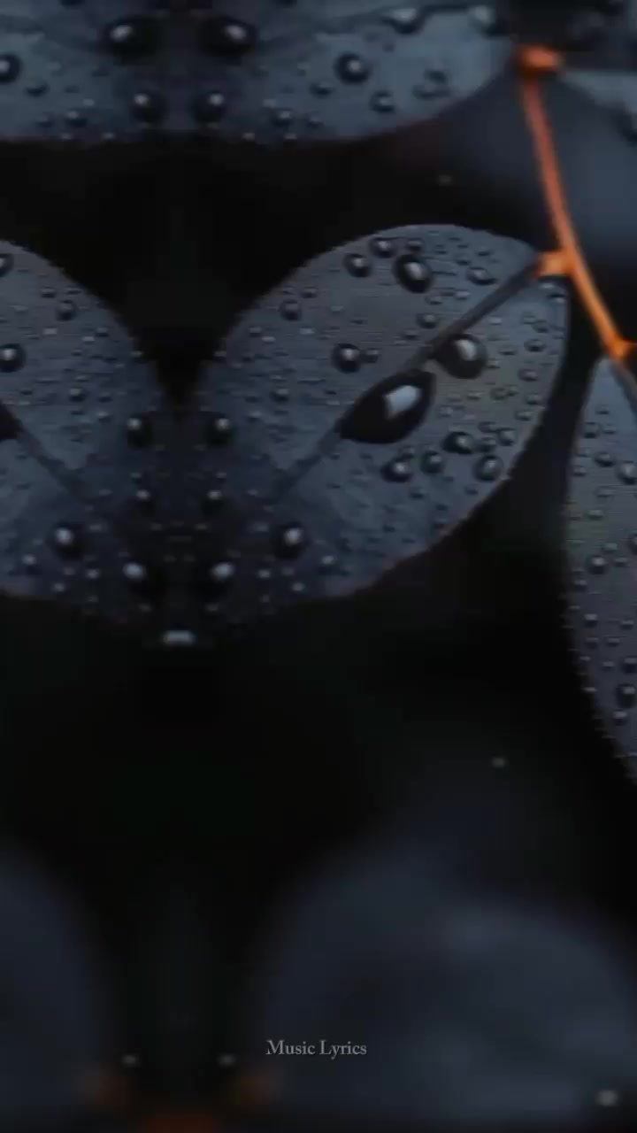 @ᴍᴜꜱɪᴄ ʟʏʀɪᴄꜱ