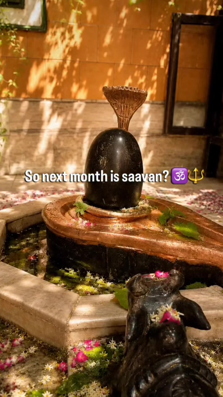 @Preeti Rauniyar 🕉️🧿