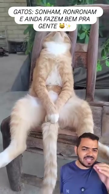@Obrasilense
