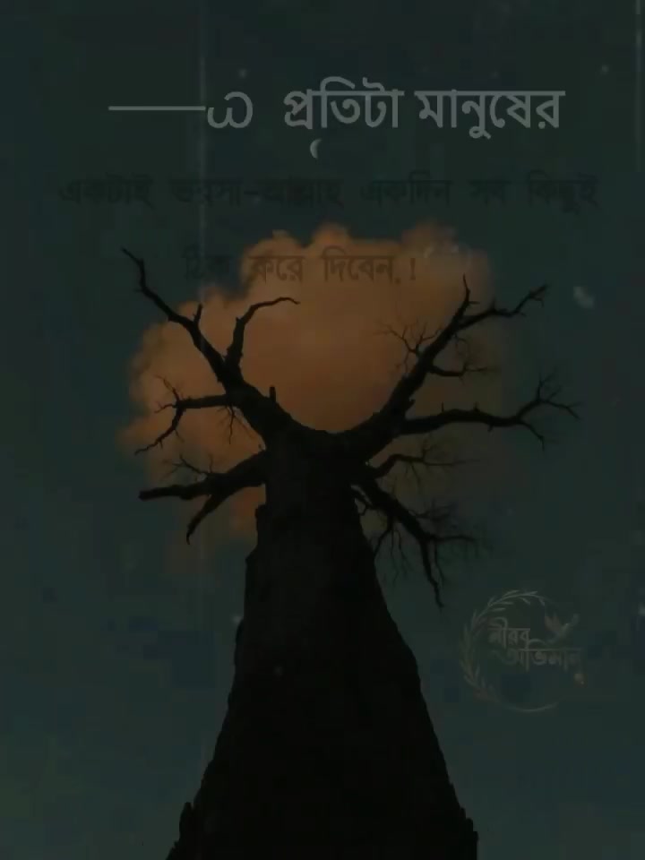 @নীরব অভিমান