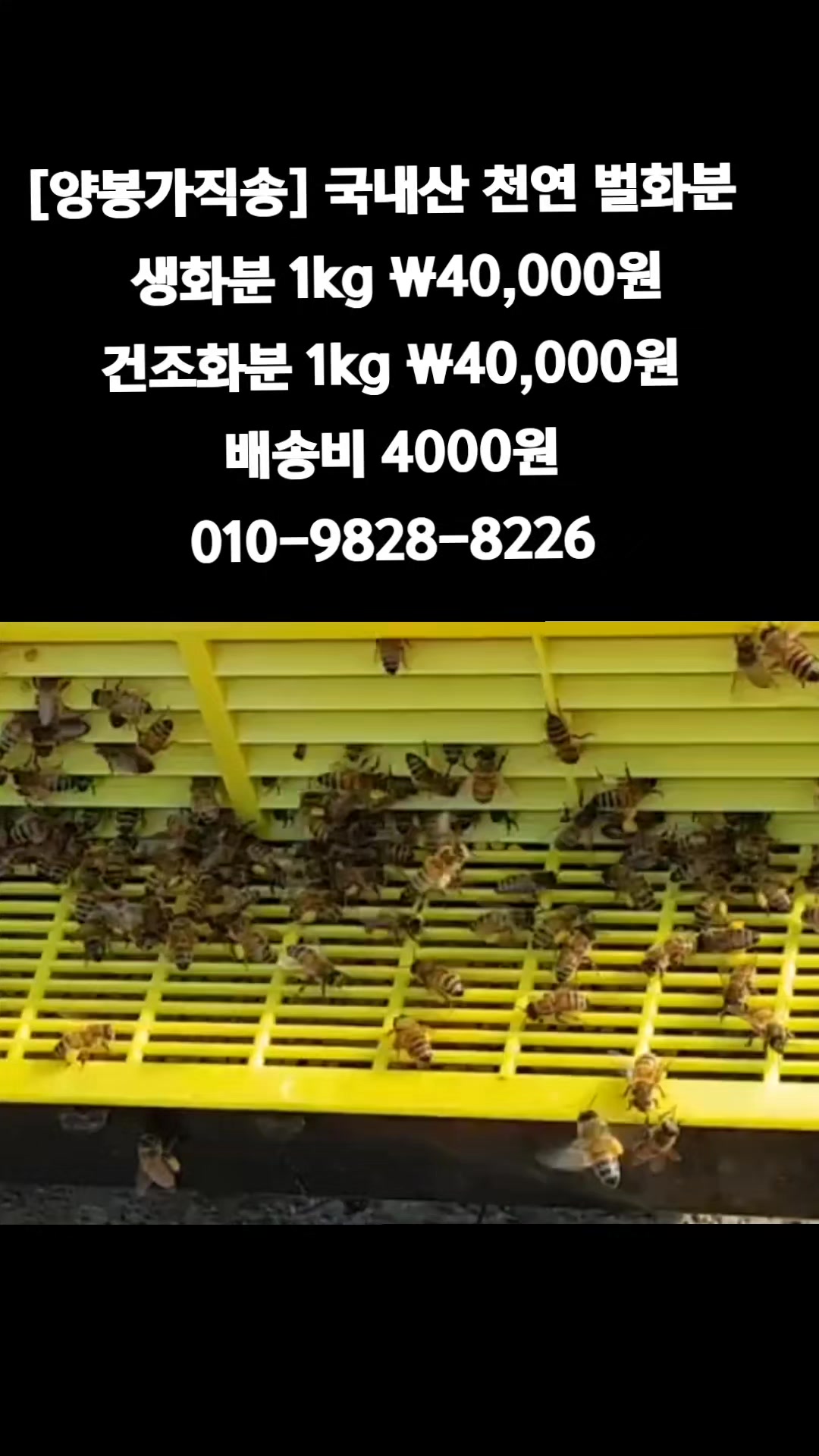 @똑손