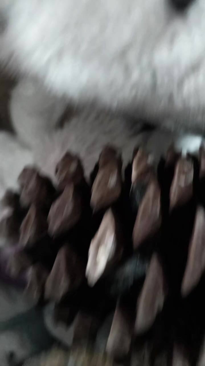 @jenny uwu
