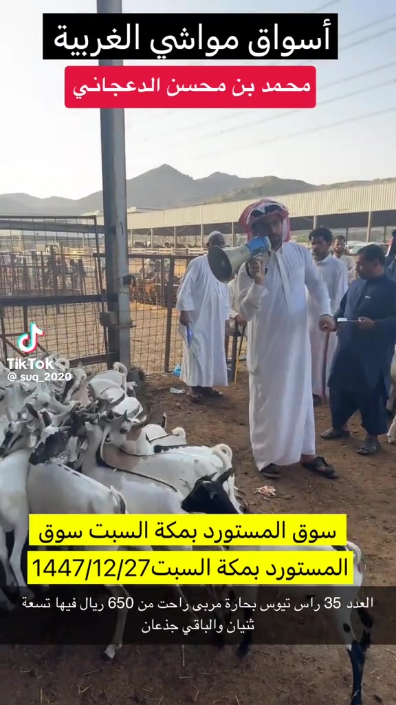@mohamed_ksa0