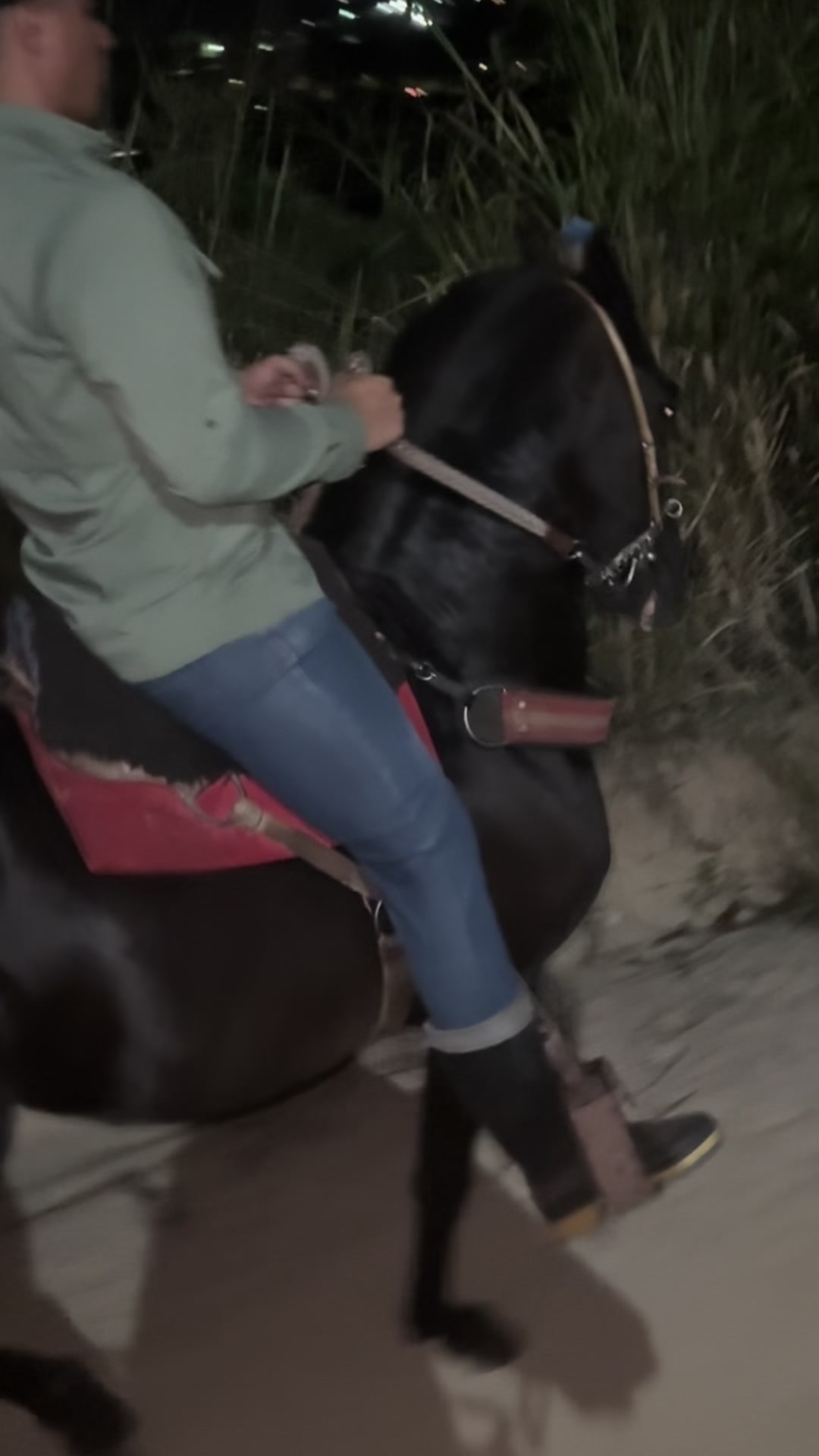 @saulardila09