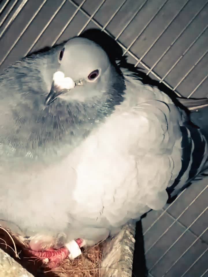 @❷❻💤