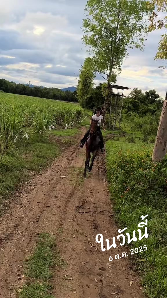 @tomoko_boahancock