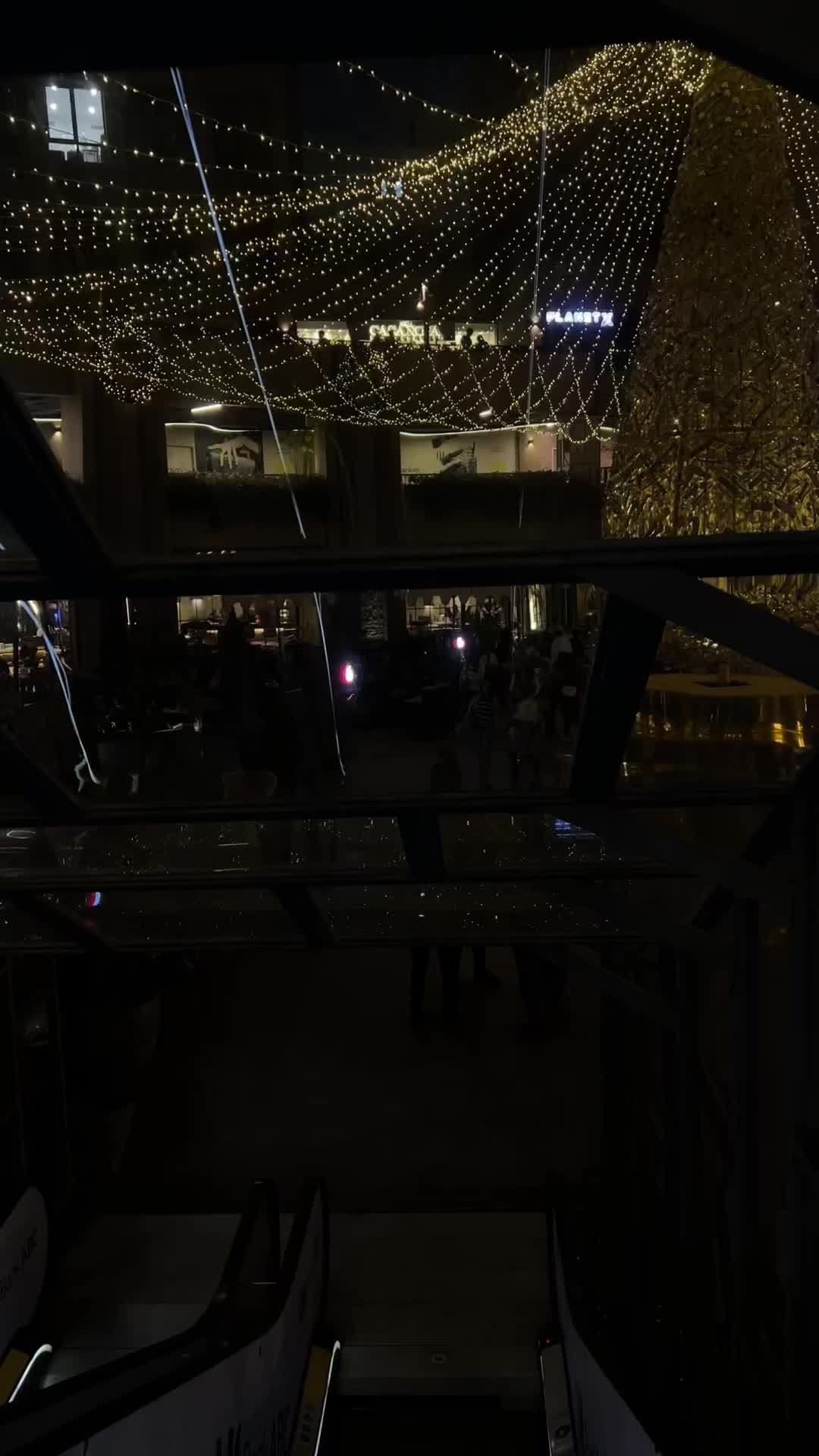 @dinaelamir86