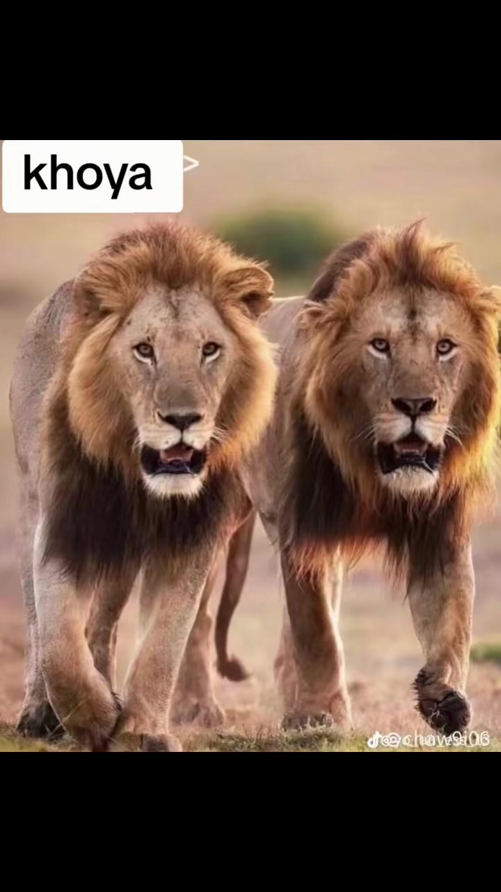 @3ayeche jewale 🛣️🚚🫶🫶