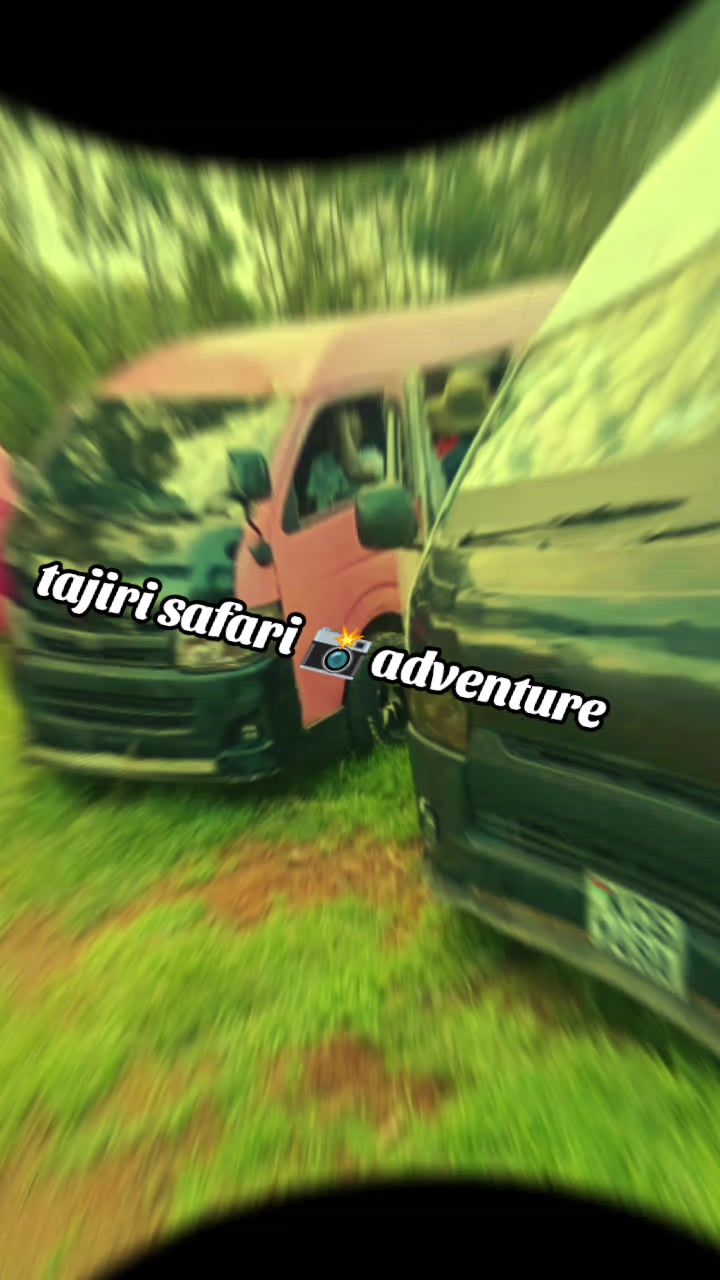 @tajiri safari