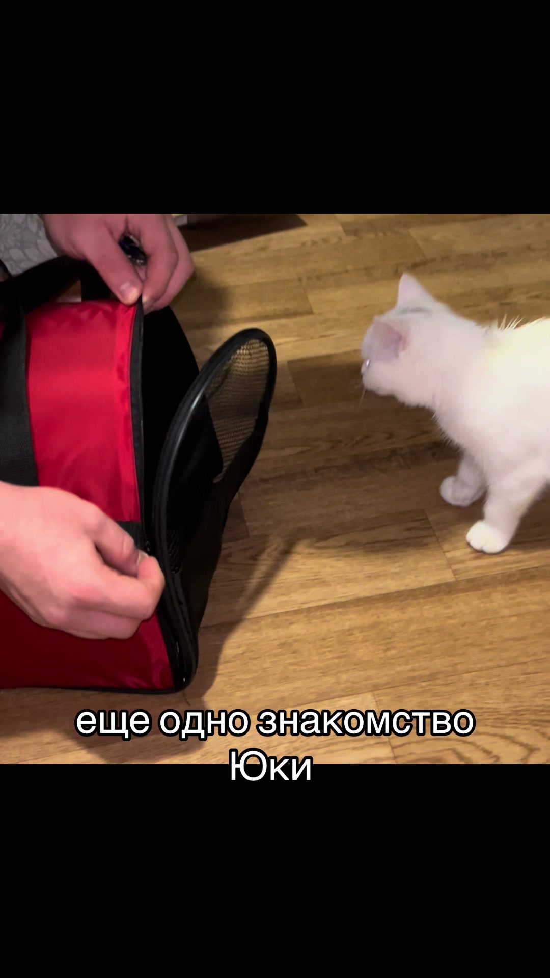 @миленко