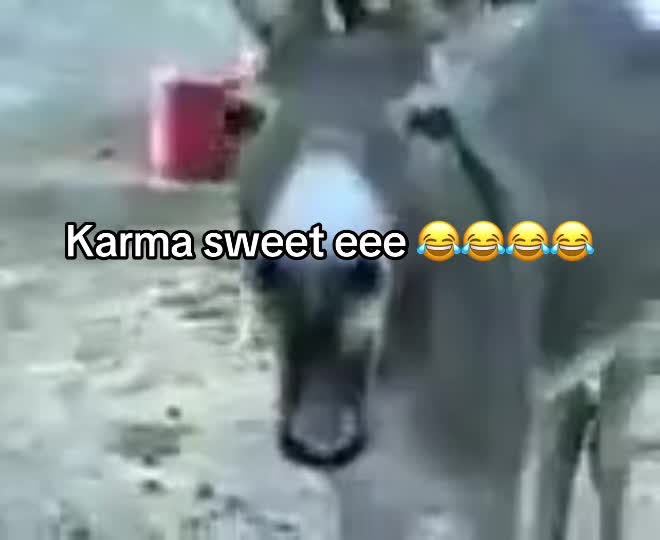 @sweetrushy