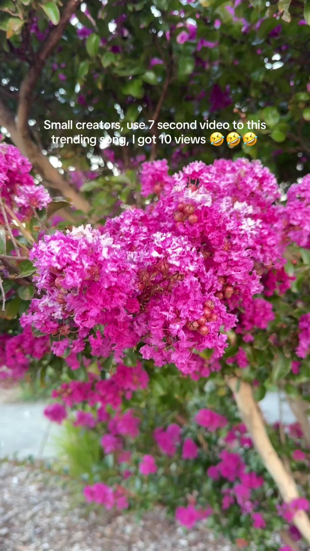 @Manjit