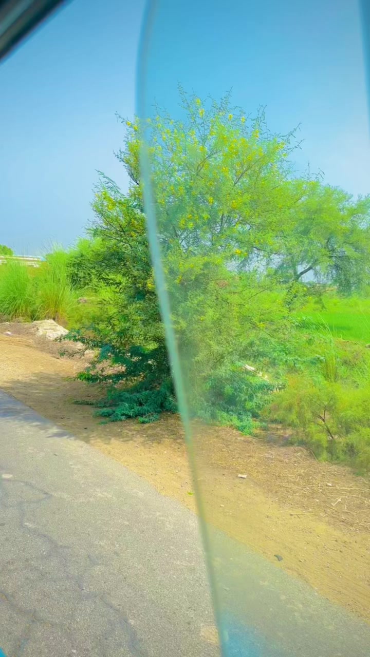 @علی حیدرلہڑی••😇