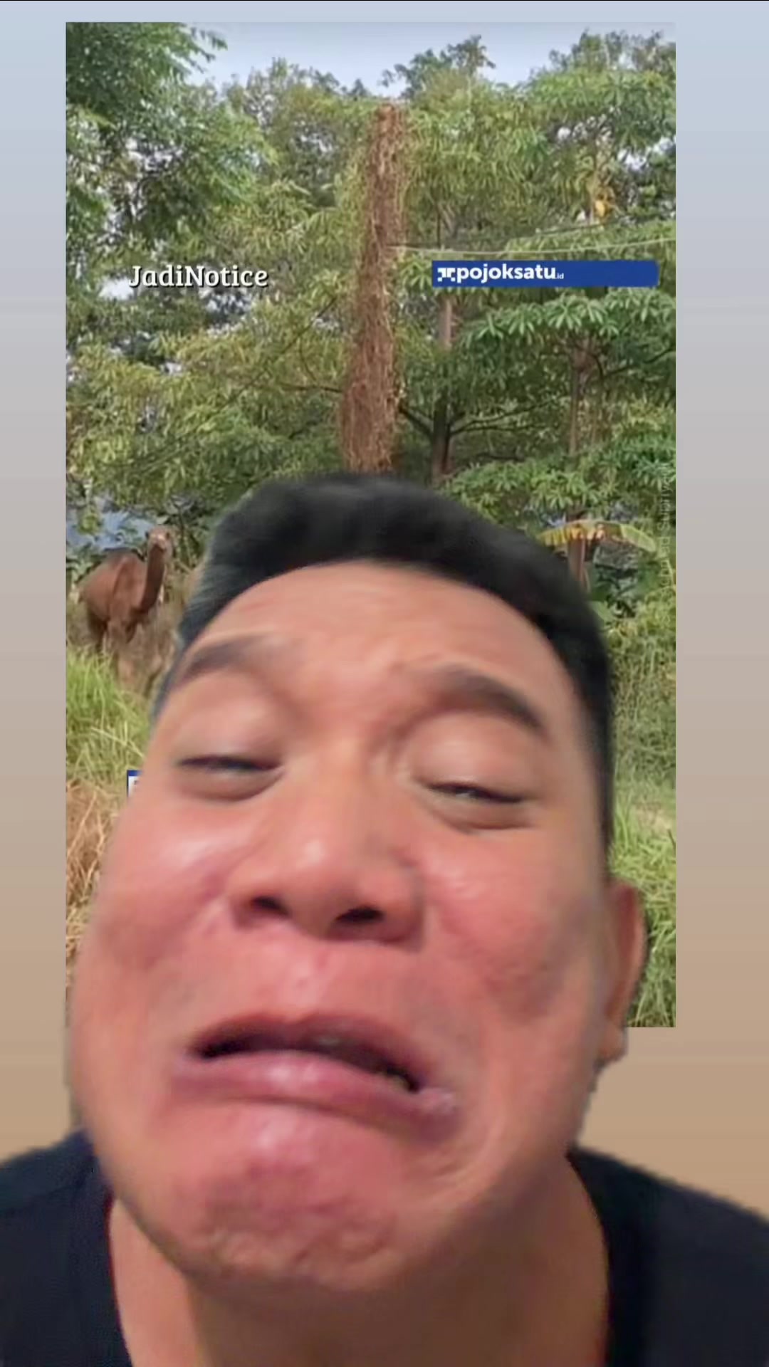 @JandaTawa