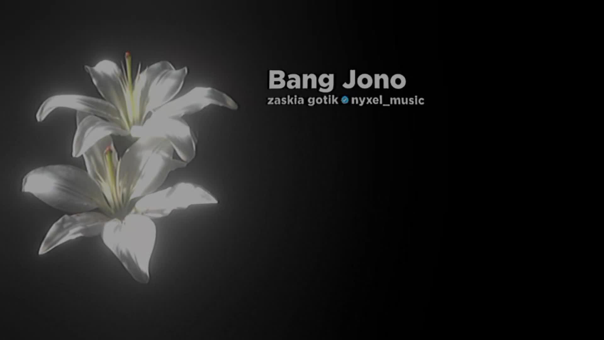 @𝐧𝐲𝐱𝐞𝐥𝐦𝐮𝐬𝐢𝐜