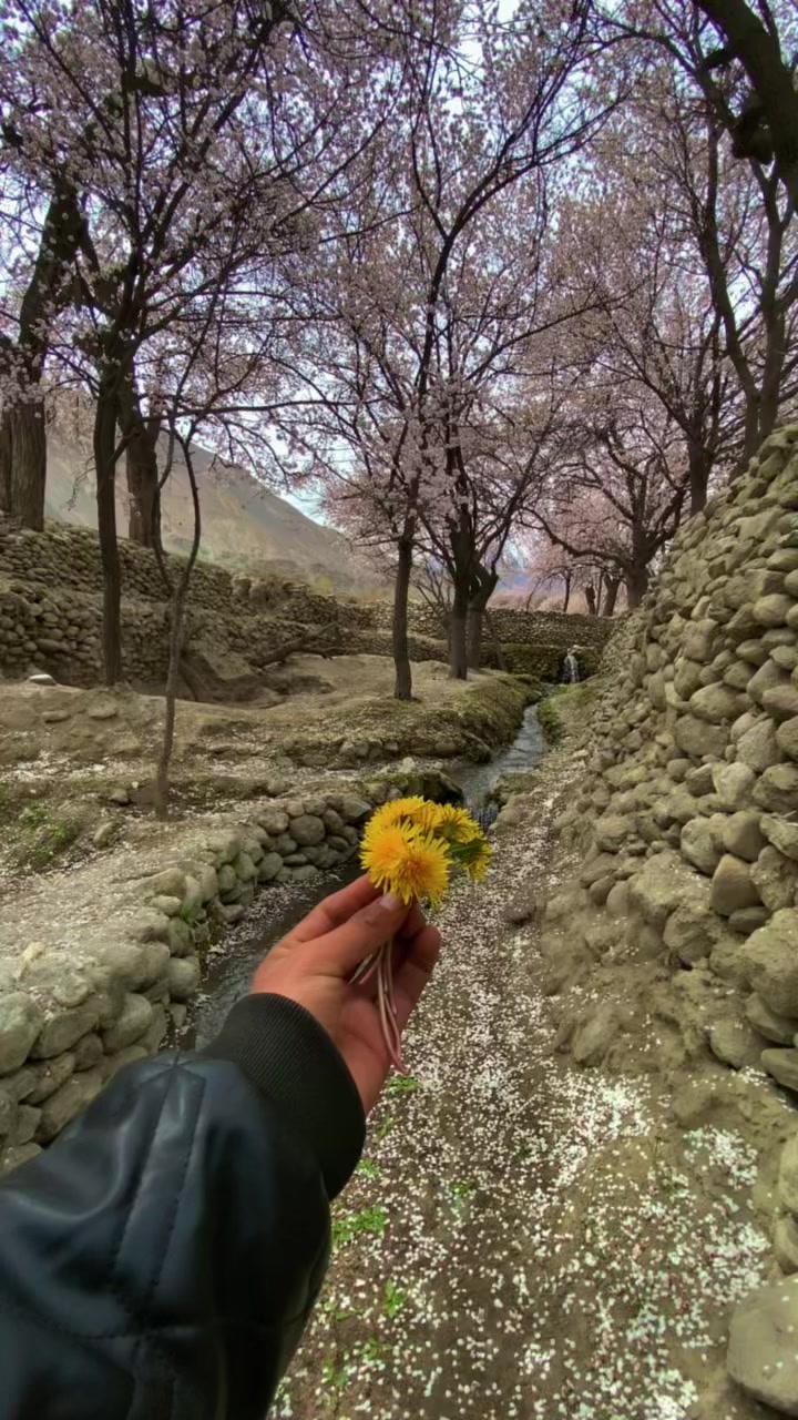 @𝙕𝙚𝙨𝙝𝙖𝙣 𝙂𝙖𝙡𝙡𝙚𝙧𝙮🏔️