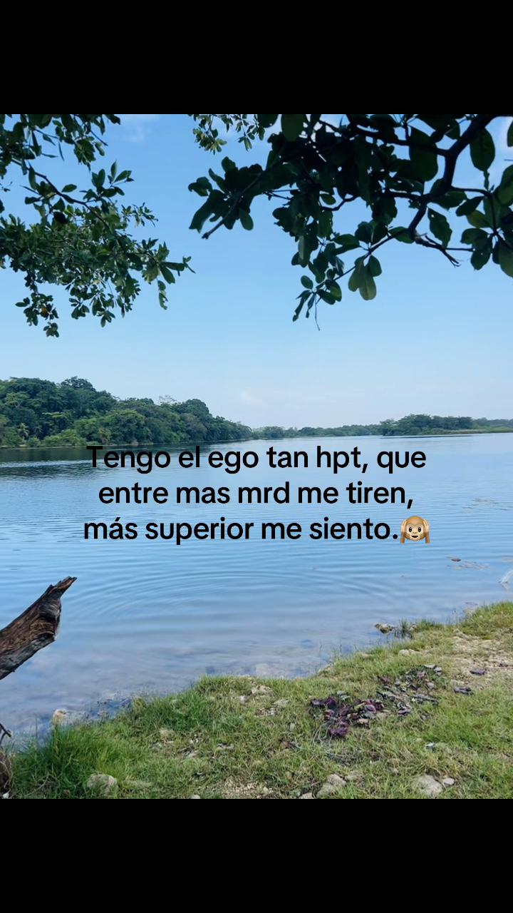 @compartirvideos8