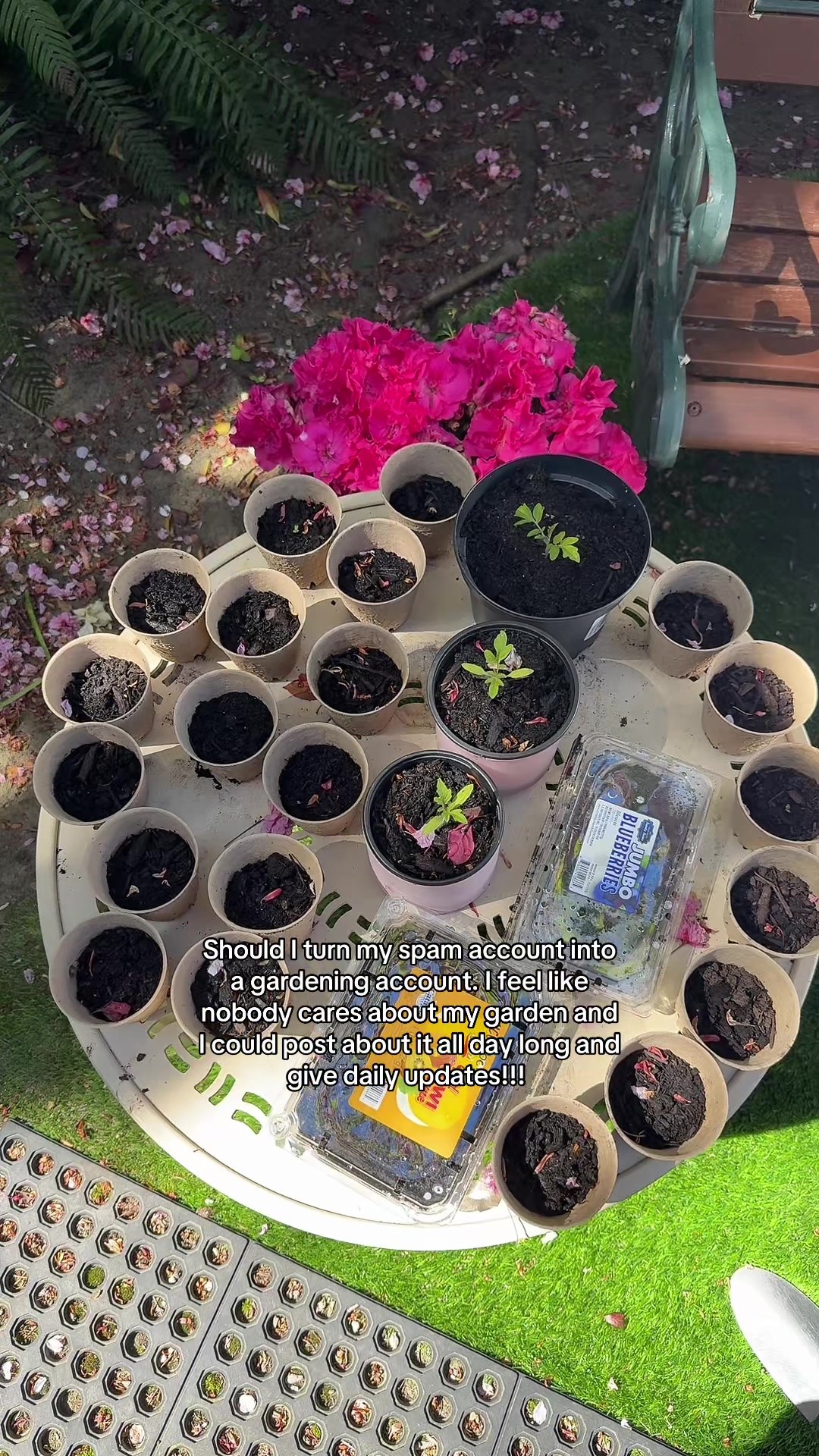 @Hotgirlgarden
