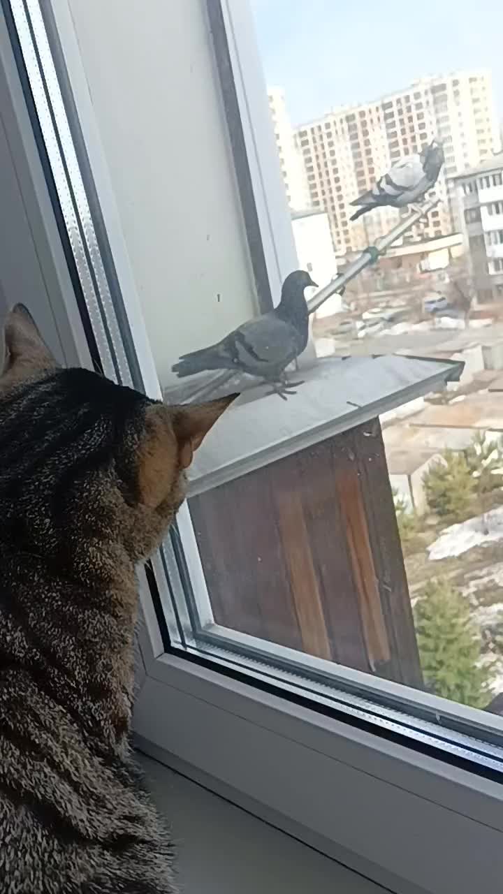 @Жорка-Кузька)