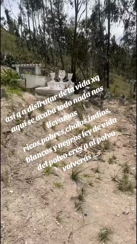 @Lilibel Freire