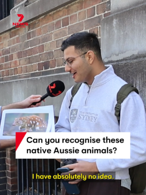 @7NEWS Australia