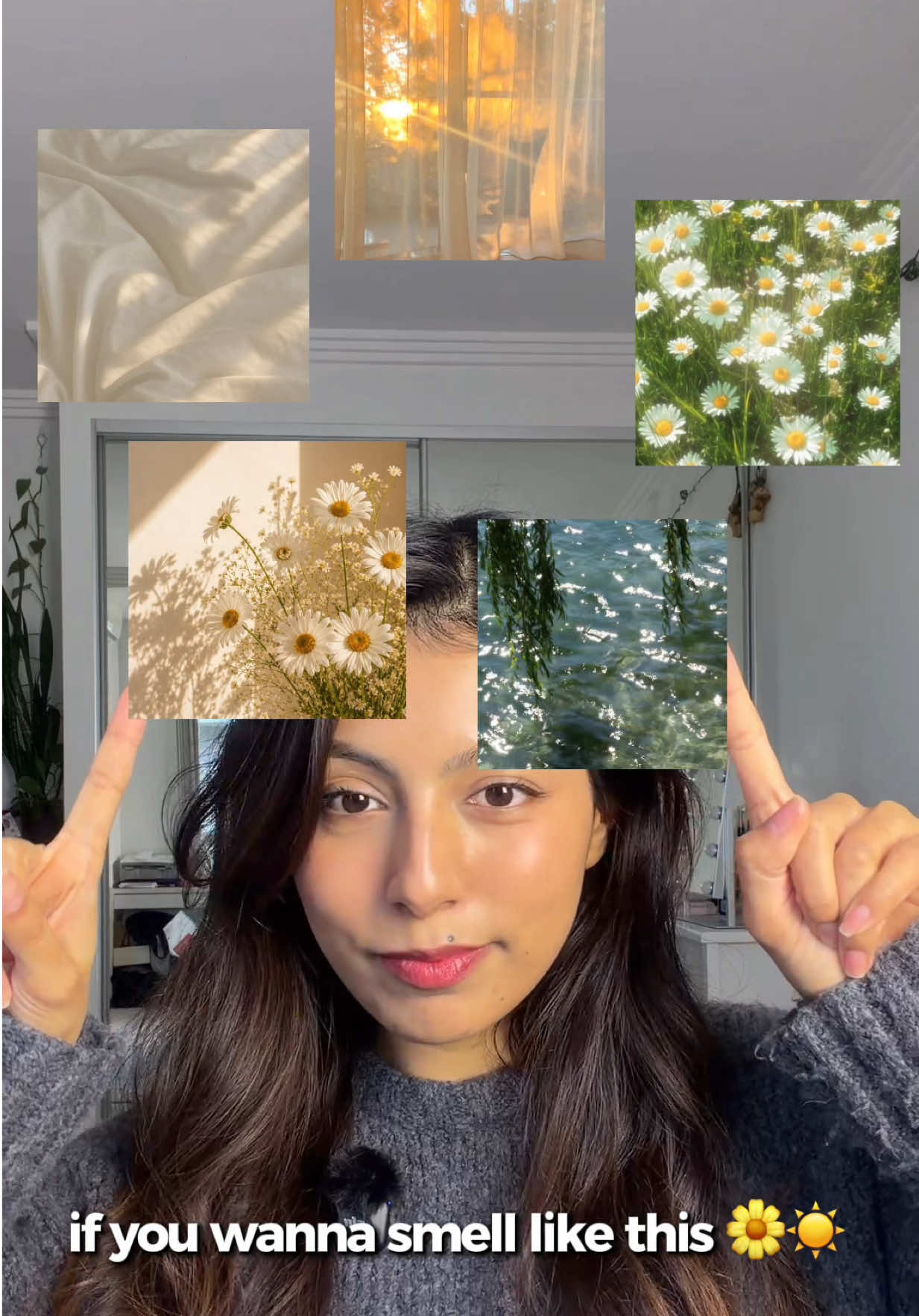 @Rosy 🦋