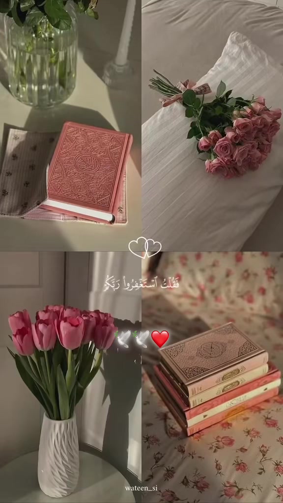 @لا اله إلا الله 💚🕊️