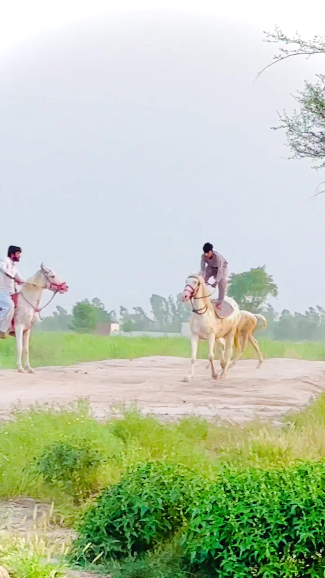 @Saqlain Khanuana