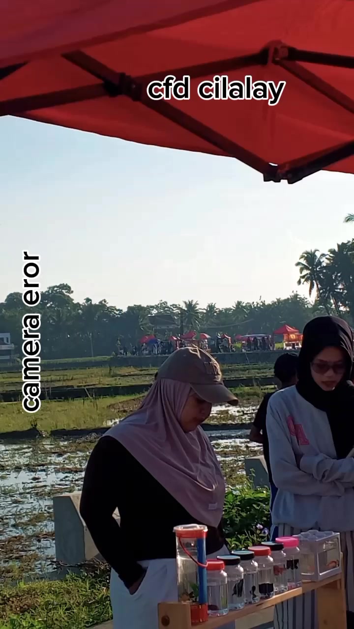 @mega mendung