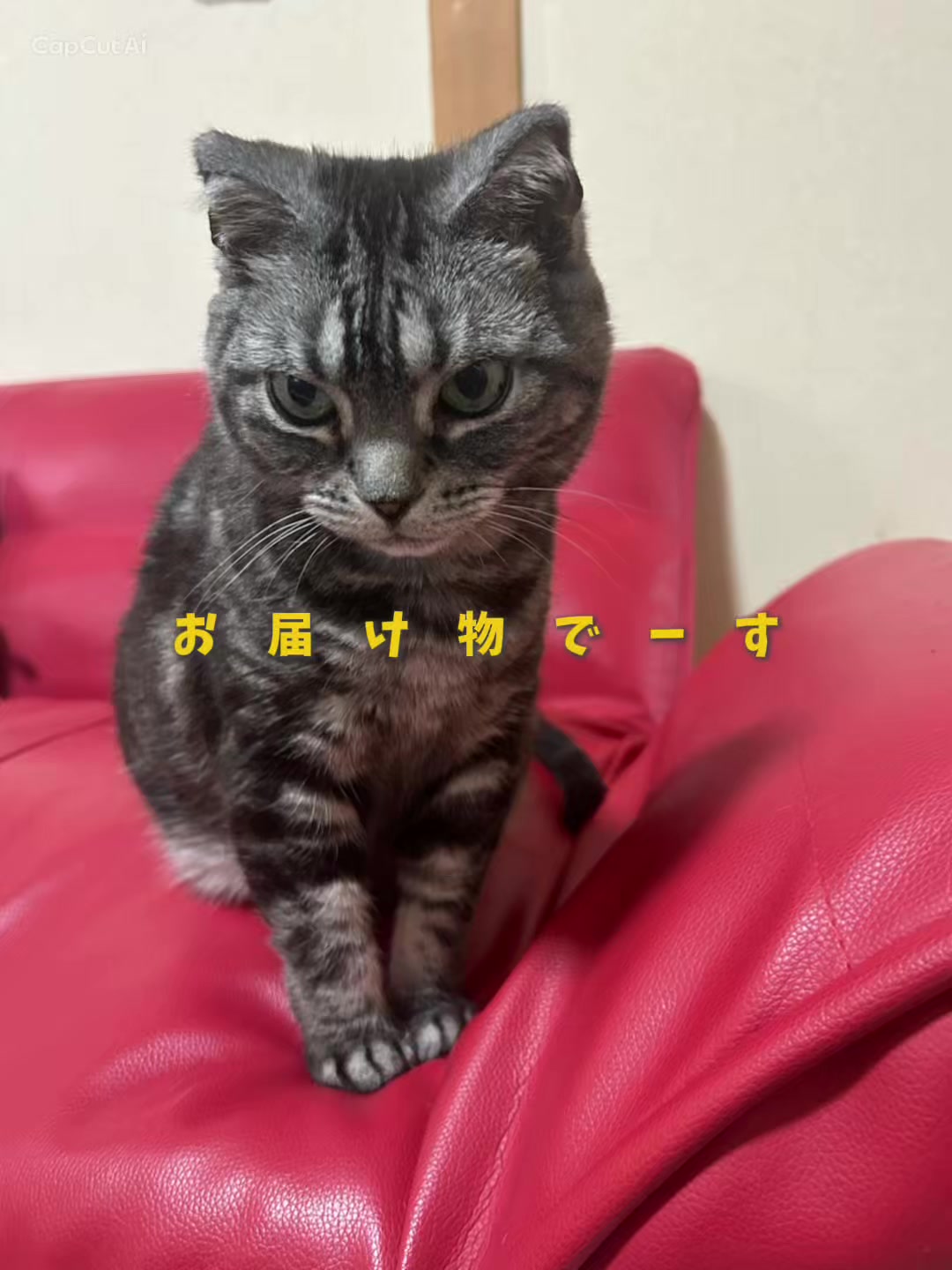 @๐ทmiwako๐๐ท