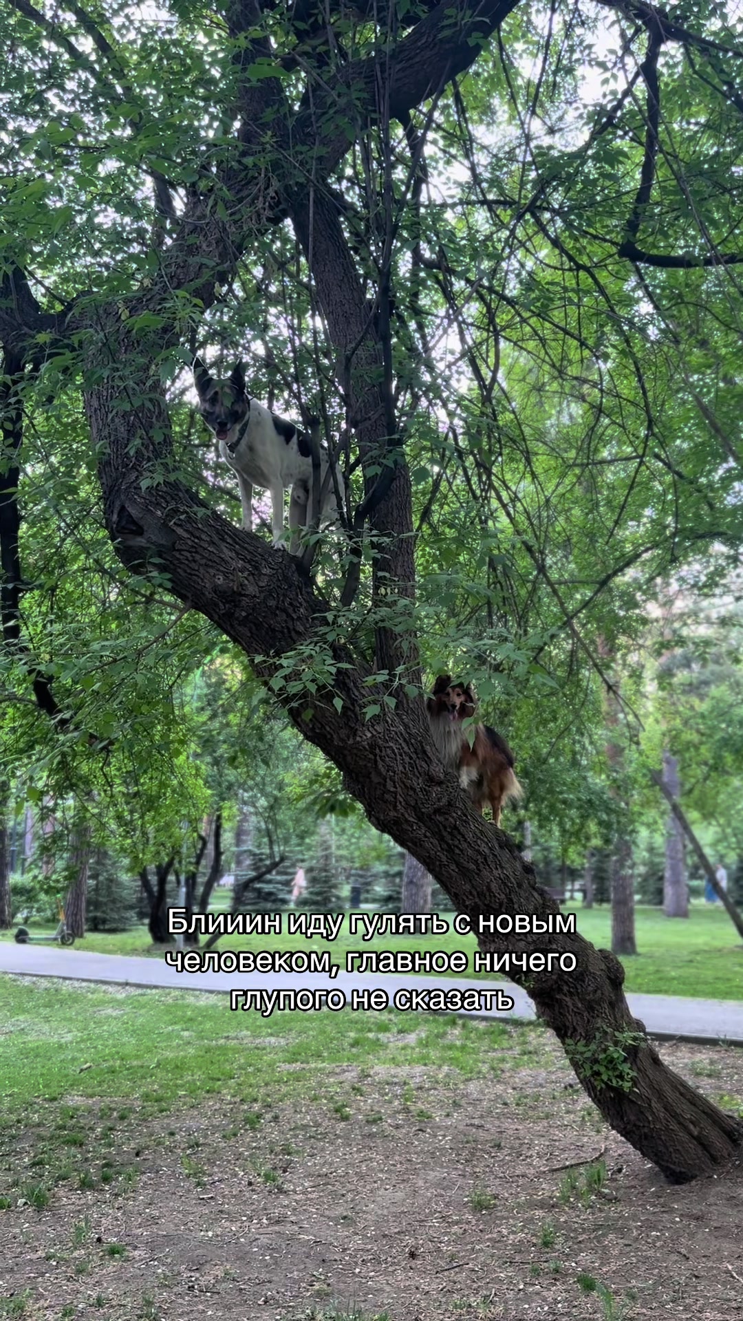 @Малышка❤️